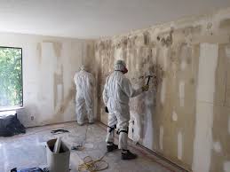 Best HVAC Mold Inspection and Cleaning in USA